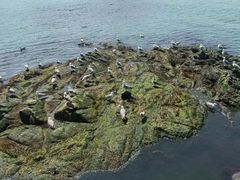 -海驴岛(荣成市)
