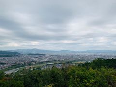 -岚山猴子公园