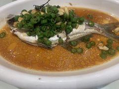 -沪华海鲜大酒楼(南汇店)