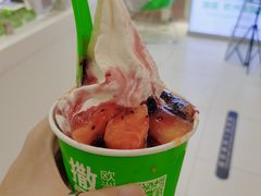 大杯冻酸奶-Salud撒露欧洲冻酸奶(蓝色港湾店)