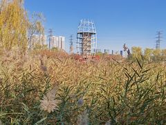 -永定河休闲森林公园