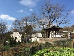 -塔川景区