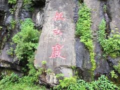 -望天鹅景区