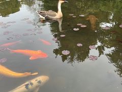 -白马涧龙池景区