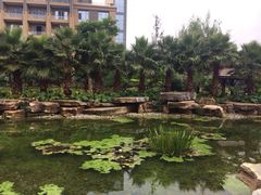 昆明洲际酒店-昆明洲际酒店