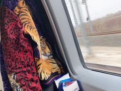 -长春西站
