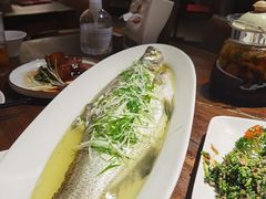 -金枝玉叶上海人家食府(三里河店)
