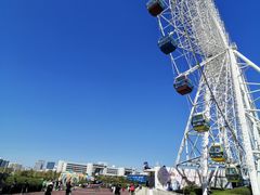 -琴岛之星摩天轮