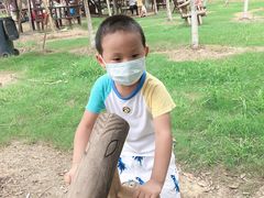 -武汉紫薇都市田园