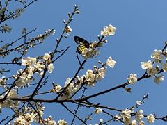 -荔枝公园(福田区)