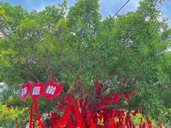 -温州乐园