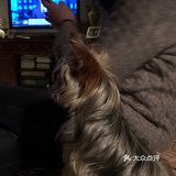 老大叫悠悠，老二叫躲躲。一个一个九岁，一个五岁了
