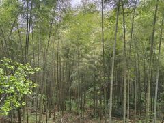 -杭州灵山景区