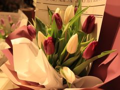 -循礼门鲜花花市(武汉循礼门店)