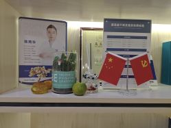 -碧莲盛·不剃发植发