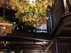 -胡桃里音乐酒馆(白云五号T5 MALL店)