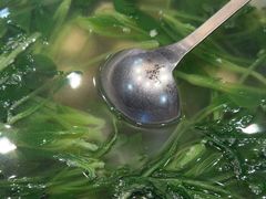 -苏浙徽·农家大院(开发区星湖101店)