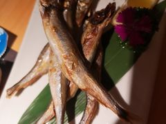 -萤初高端日料王(曲江银泰店)