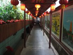 -窄巷子陕菜馆·地道陕西菜(粉巷店)