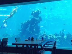 -海棠湾洲际-涛·海底餐厅·美人鱼·自助餐·海底隧道