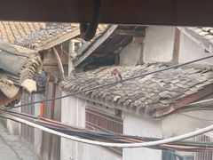 -渝绝回味碗土家洋芋饭(学道街店)