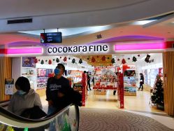 -cocokarafine可开嘉来