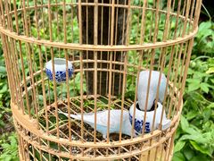 -陆地游轮西山温泉号