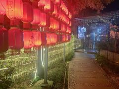 -二荆条·蜀鲜汇城市森林火锅