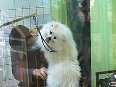 -沐沐家宠物(成寿寺店)