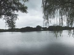-东方绿舟景区