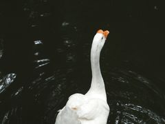 -兰亭风景区