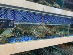 -欧记·龙城港(欣都店)
