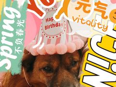 -EnergyCake蛋糕理想国