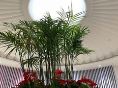 -LANN I 蘭 SPA(陆家嘴中心店)