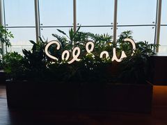 -Seesaw Coffee(朝阳大悦城店)