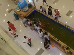 -凯德广场(西城店)