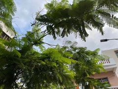 -后海村
