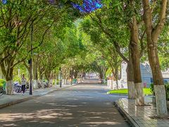 -厦门大学(思明校区)