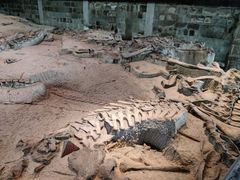 -自贡恐龙博物馆