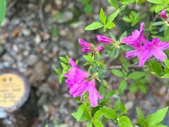 -徐家汇源景区-衡山公园