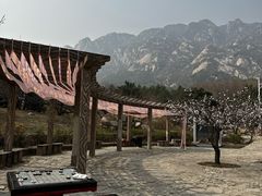 -北京凤凰岭