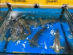 -拉威海鲜市场