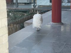 -有喜胶东小馆(超极合生汇太申祥和店)
