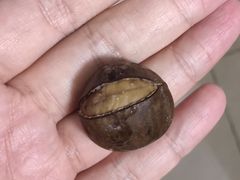 -粒上皇(崇文门店)