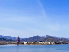 -向外鱼乐·土菜·虹鳟鱼