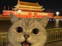 -Z-PARTY KTV(金太湖店)