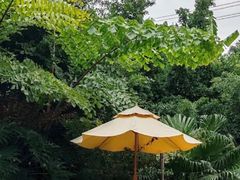 -柠檬花院烤肉·会议团建·聚会·求婚(三圣乡店)