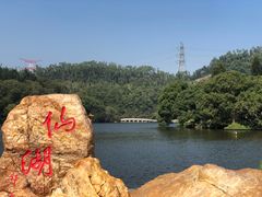 -深圳仙湖植物园