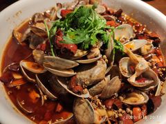 -老板恋上鱼(高新万达店)