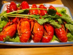 -青瓷火锅料理(西单大悦城店)